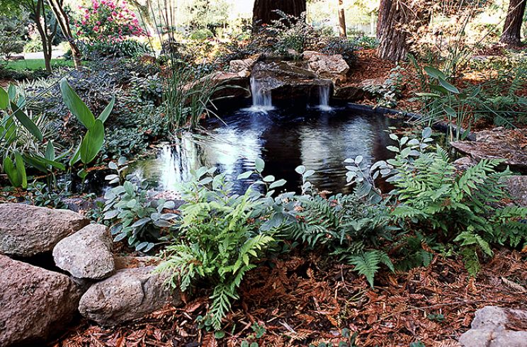 Sierra Pond