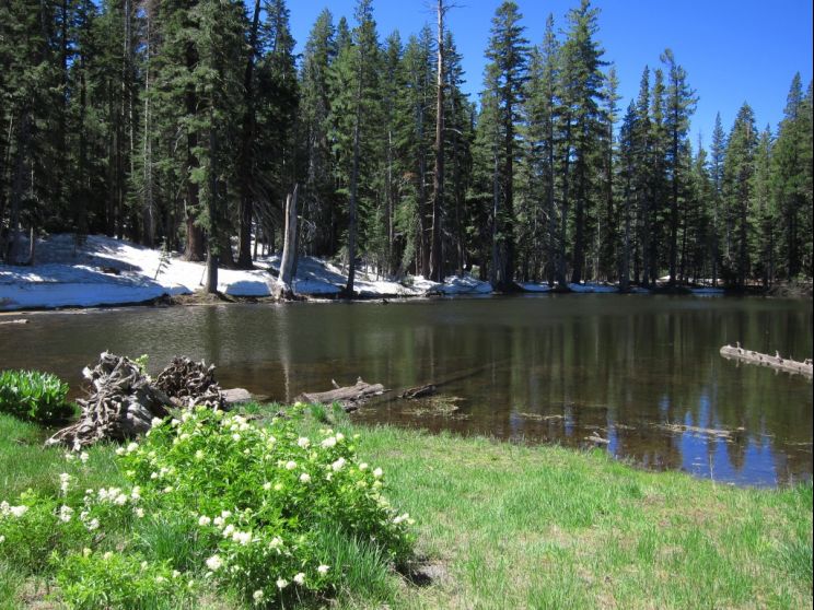 Sierra Pond