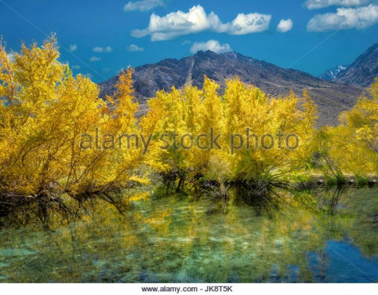 Sierra Pond