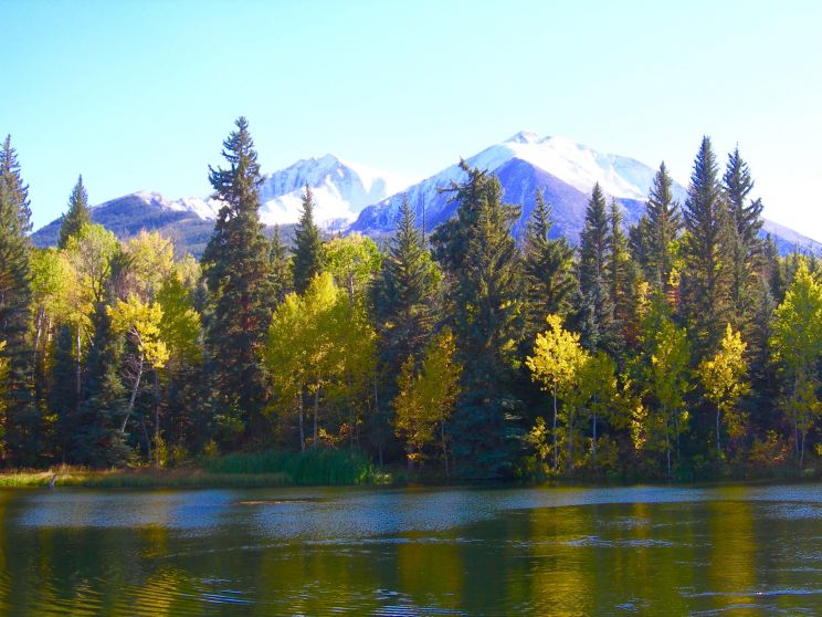 Sierra Pond