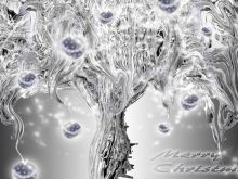 Silver Tree