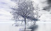 Silver Tree