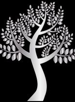 Silver Tree