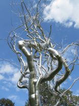 Silver Tree