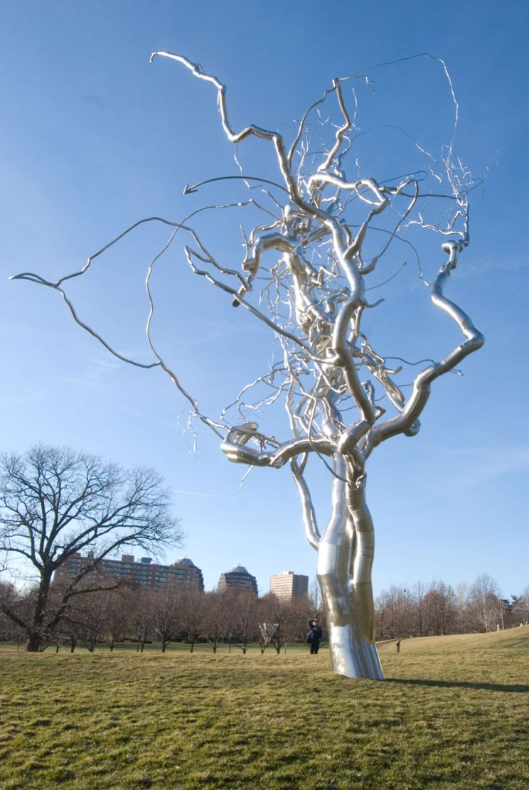 Silver Tree