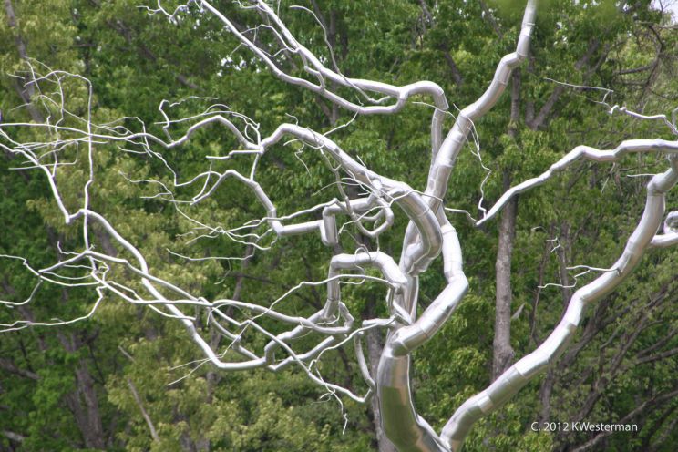 Silver Tree