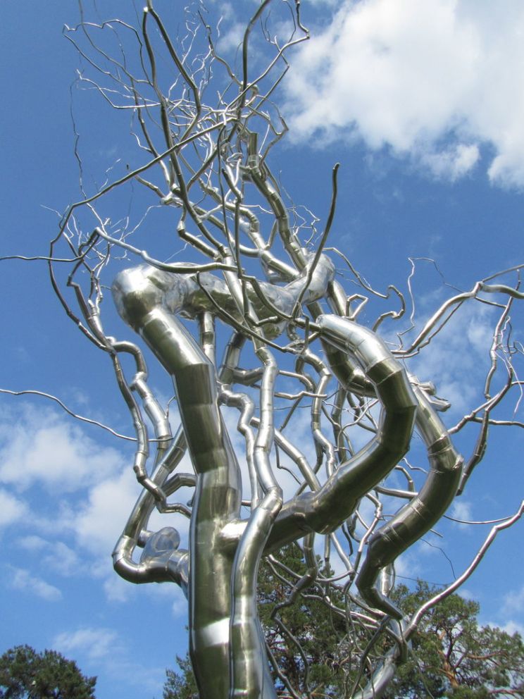 Silver Tree