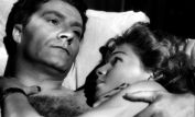Simone Signoret