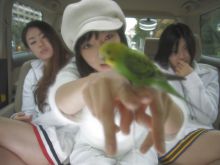 Sion Sono