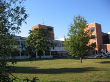 Siu Ta