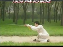 Siu-Wong Fan