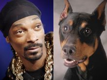 Snoop Dogg