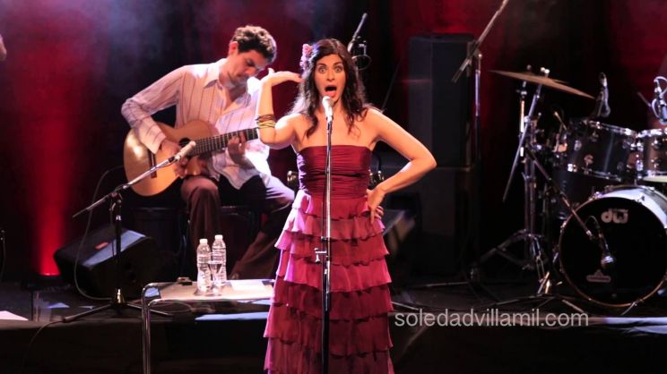 Soledad Villamil
