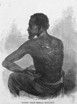 Solomon Northup