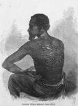 Solomon Northup