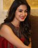 Sonal Shah