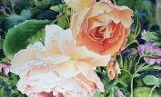 Sondra Blake