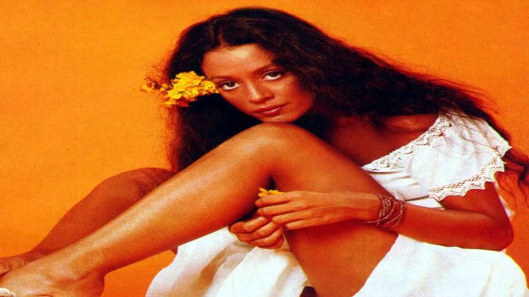 Sonia Braga