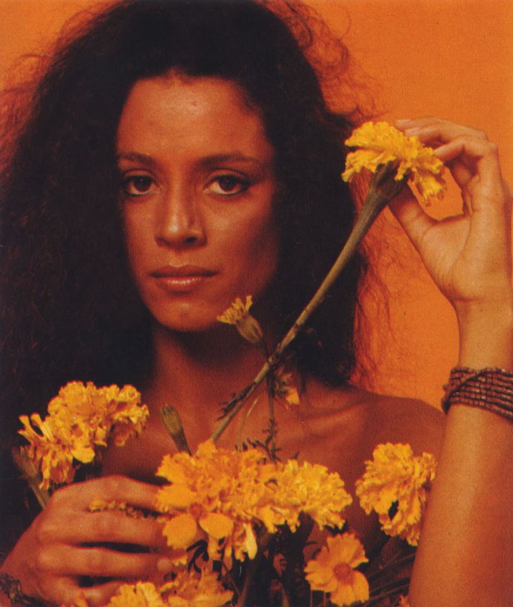 Sonia Braga