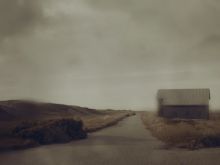 Sonia Suhl #3682832 picture (Landscape Medium)