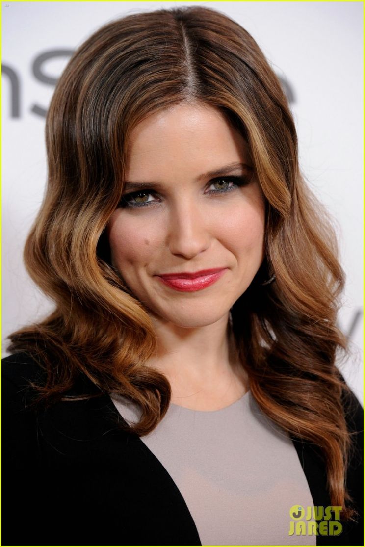 Sophia Bush