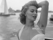 Sophia Loren