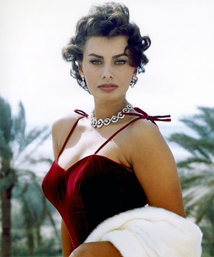 Sophia Loren