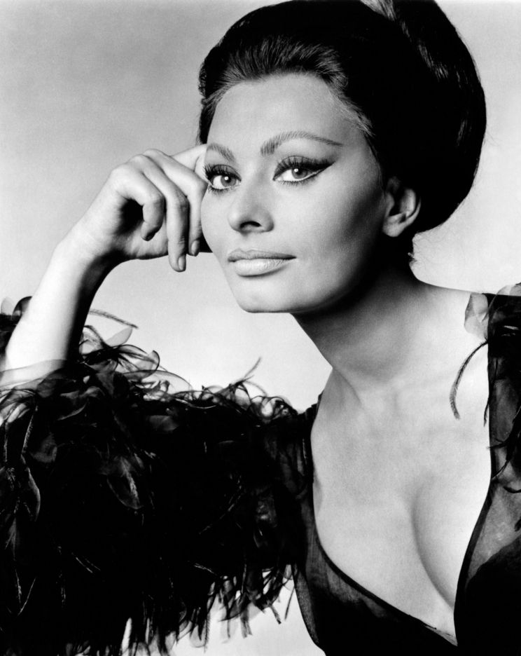 Sophia Loren