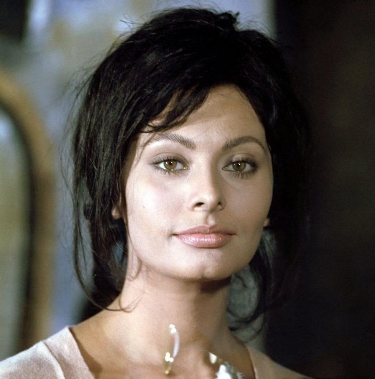 Sophia Loren