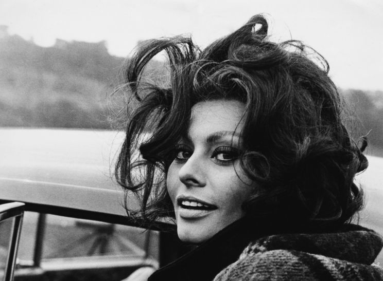 Sophia Loren