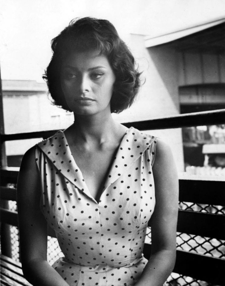 Sophia Loren