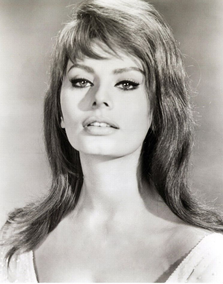 Sophia Loren