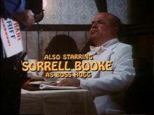 Sorrell Booke