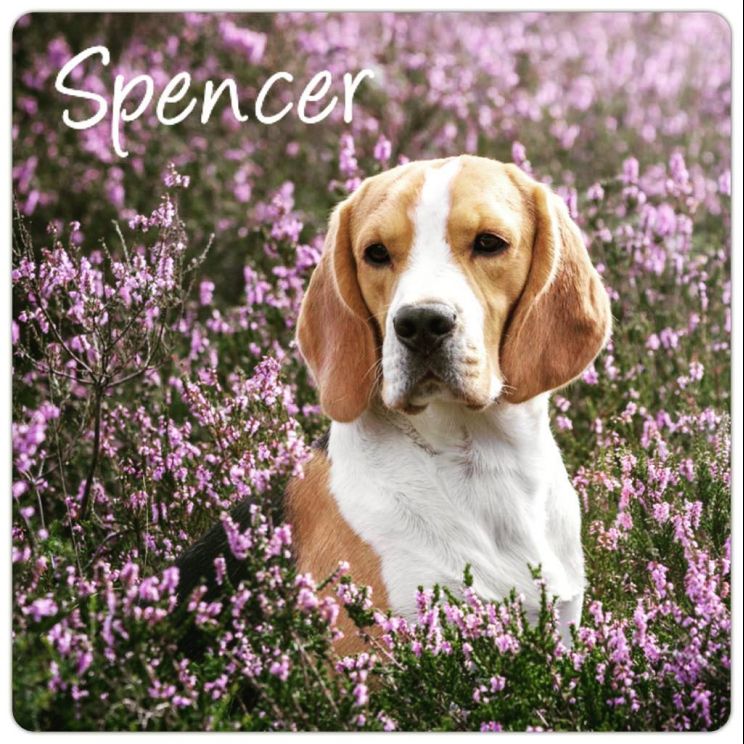 Spencer Malnik