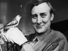 Spike Milligan