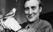 Spike Milligan