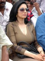 Sridevi #811034 picture (Portrait Medium)