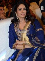 Sridevi #811038 picture (Portrait Medium)