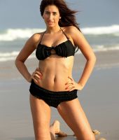 Stacey Carino
