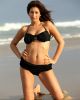 Stacey Carino