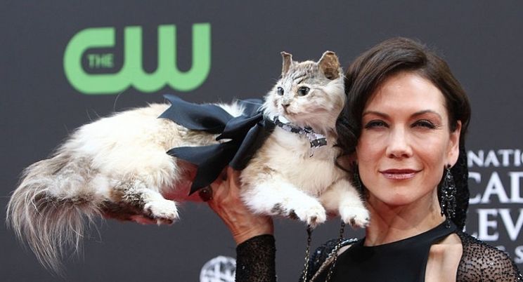 Stacy Haiduk
