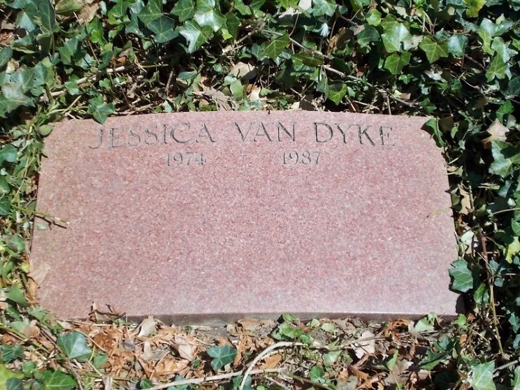 Stacy Van Dyke