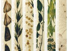 Stan Brakhage