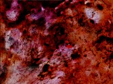 Stan Brakhage