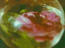 Stan Brakhage