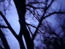 Stan Brakhage