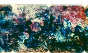 Stan Brakhage