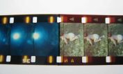 Stan Brakhage