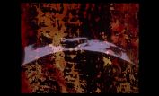 Stan Brakhage