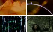 Stan Brakhage